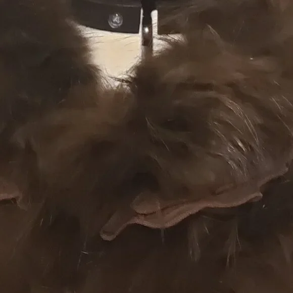 Vintage Moshita Couture 2 Piece Brown Outfit w/Faux Fur Collar and Trim, Size 16 - Picture 3 of 16